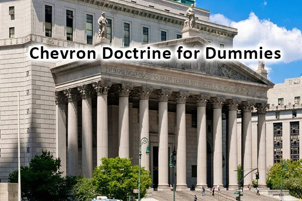 Chevron Doctrine for Dummies