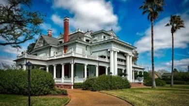Property Renovations