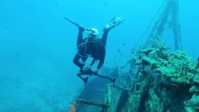 Stay Calm Underwater