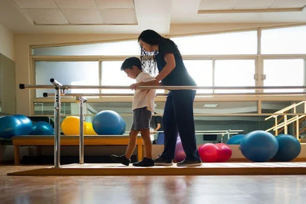 Occupational Therapy