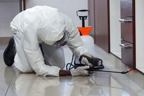 Pest Control