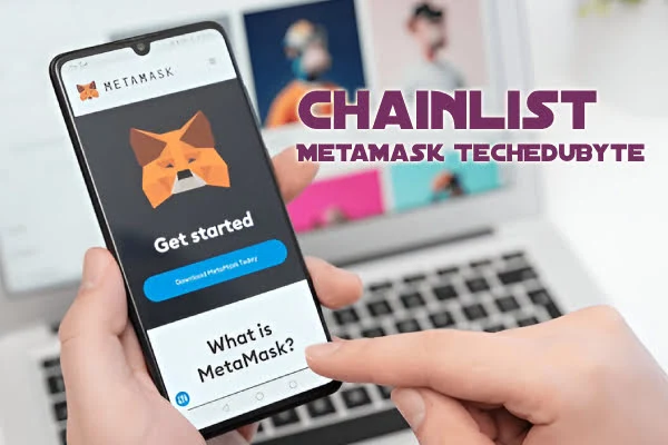 Chainlist MetaMask TechEduByte