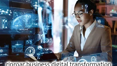 Riproar Business Digital Transformation
