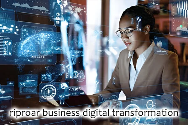 Riproar Business Digital Transformation