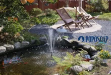 Pond Instruction