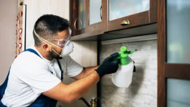 Pest and Termite Control